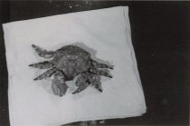 RC 2015.0.2.1 Bishop Interview Image Number 33